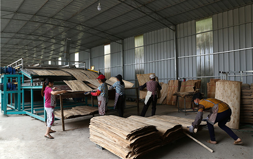 柳州高效单板木材烘干机价格